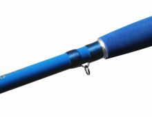 Delphin Prut Hazard 2,85 m 500 g (5)