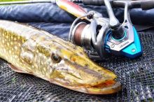 Okuma Naviják Epixor LS Epl 20 FD (1)