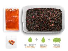 Delphin Pelety Reaxe Ready&Go Pellet Box + Booster a Nástrahy Mango-Broskev 400 g (2)