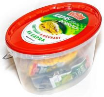 Chytil Kbelík Nástrah a Návnad Na Kapra 3 (1)