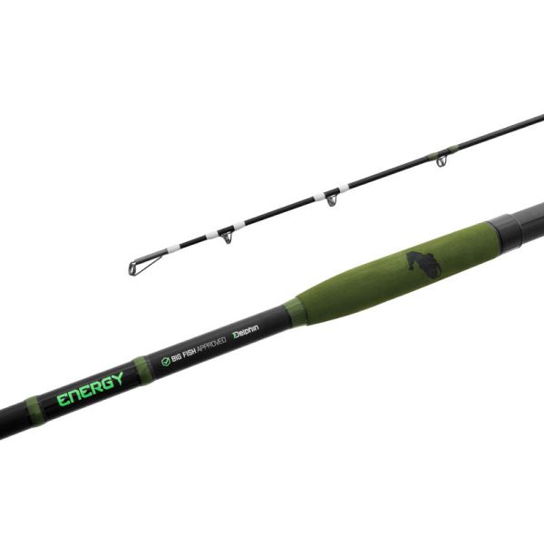 Delphin Prut Energy Catfish 2,5 m 250-500 g