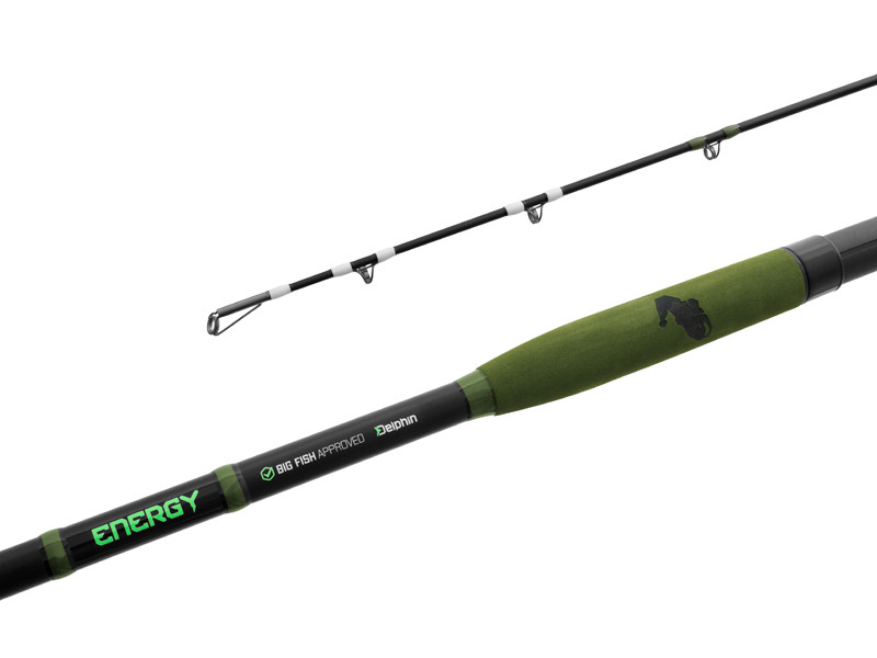 Delphin prut energy catfish 2,5 m 250-500 g