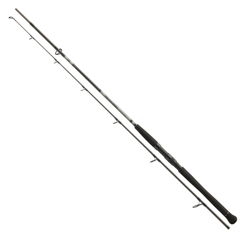 Levně Daiwa prut powermesh catfish boje 3,3 m 150-400 g