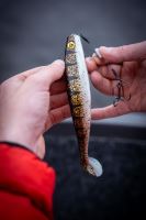 Fox Rage Gumová Nástraha Pro Shad Loaded Silver Halo (6)