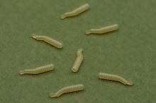 One More Cast Rovnátka Dazzlers Magoliner Aligner 10 ks (2)