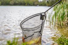 Preston Innovations Podběráková Hlava Carbon F1 Latex Landing Net (4)