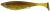 Daiwa Gumová Nástraha Prorex Belly Shad Natural Green Roach