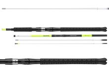 Daiwa Prut Sealine X´treme 2,25 m 100-250 g 2-Díl (1)