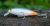 3Stan Wobler Fatty 70 FTFA 7 cm 13 g