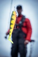 Fox Rage Gumová Nástraha Zander Pro Shad Loaded UV Silver Halo (8)