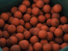 Carp Only Boilies Salmon (1)