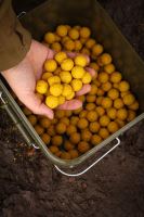 Nikl Boilie Ready Corn (4)