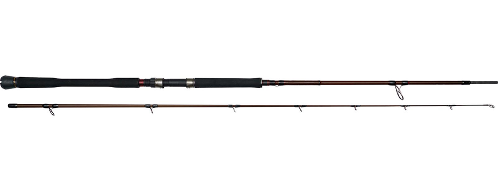 Westin prut w4 powercast 2nd 2,4 m 60-180 g