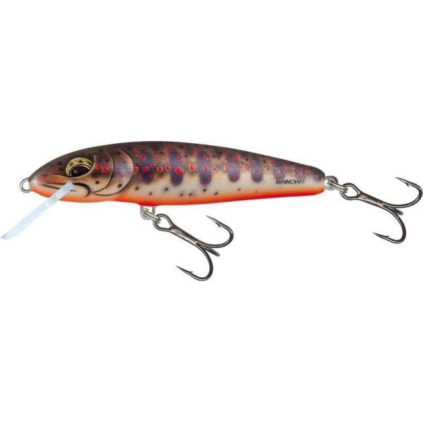 Salmo Wobler Minnow Sinking Freshwater Minnow