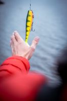 Fox Rage Gumová Nástraha Zander Pro Shad Loaded UV Glitter Perch (10)