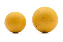 Korda Plastic Wafter Slow-Sinking Boilie Essential Cell (4)