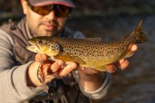 Salmo Wobler Rattlin Hornet Floating Hot Perch (9)