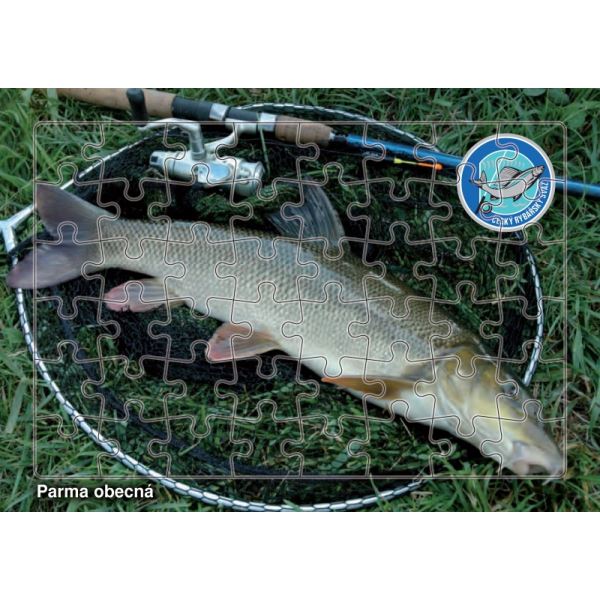 ČRS Puzzle Parma obecná