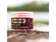 Squat Carp Plovoucí Boilies Pop-Up BlackCurrant 60 g (5)