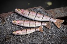 Fox Rage Gumová Nástraha Pro shad Jointed Super Natural Rainbow Trout (1)