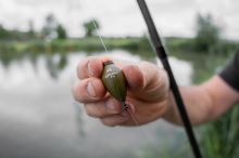 Korum Splávek Glide Stubba (6)