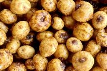 Mivardi Tygří Ořech (3)