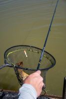 Matrix Prut Aquos Ultra-W Waggler Rod 13 ft (5)