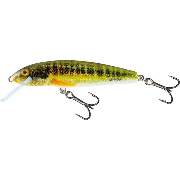 Salmo Wobler Minnow Sinking holo Real Minnow