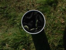 Delphin Termo Set Ixtera UltraX (1)