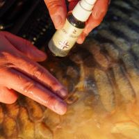 One More Cast Desinfekce Cyproguard (10)