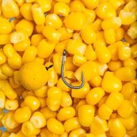 Nash Háčky Continental Micro Barbed 10 ks (5)