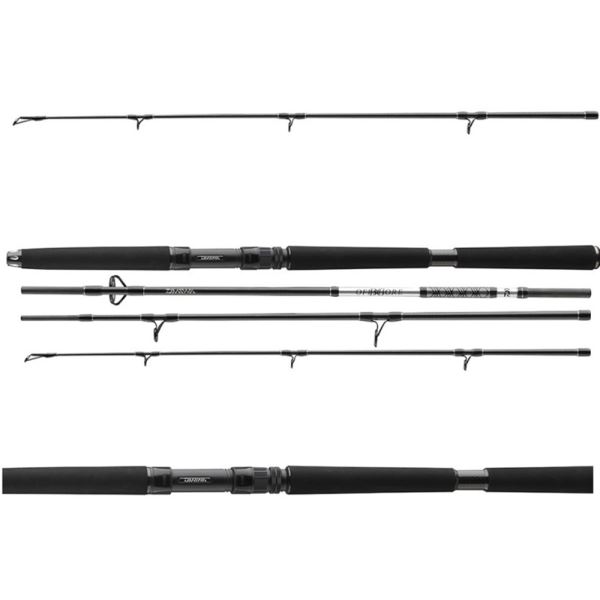 Daiwa Prut BG Travel Pilk 2,40 m 40-125 g