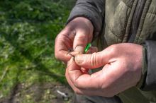 Korum Zarážky Speci-Heli Kits 4 ks (6)