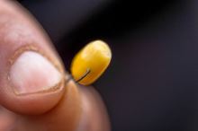 Preston Innovations Háčky XS02-B Hooks (7)