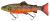 Savage Gear Gumová Nástraha 3D Line Thru Trout Arctic Char