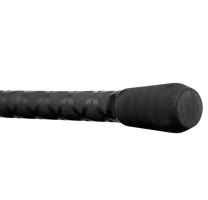 Delphin Prut Partisan Carp 3,6 m 3,5 lb /2 díl/ (3)