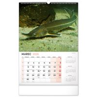 PGCZ Nástěnný Rybářský Kalendář 2026 SK 33x46 (4)