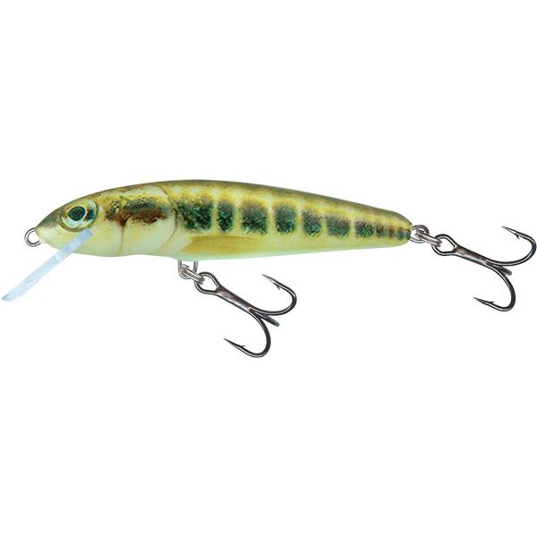 Salmo Wobler Minnow Floating Minnow