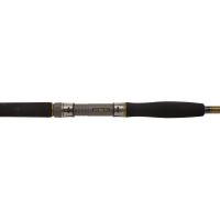 Penn Prut Legion Cat Gold Spin 2,75 m 50-175 g (2)