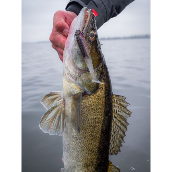 Berkley Gumová Nástraha PowerBait CullShad Deep Sinking Ayu Green