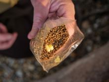 Giants Fishing PVA Sáčky Bags 10 ks (3)