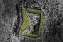 Delphin Beranice Boyar (5)