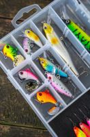 Zebco Krabička Trophy Compact Jighead Box (2)