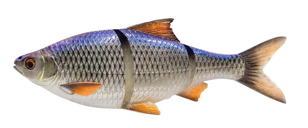 Savage gear gumová nástraha 3d line thru roach slow sinking blue roach - 25 cm 206 g