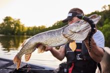 Savage Gear 3D Snake Floating Green Fluo (6)