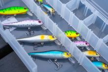 Zebco Wobler Demonic Zanderbait Rainbow 9 cm 9,9 g (4)