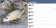 ČRS Stolní Rybářský Kalendář Na Rok 2025 (8)