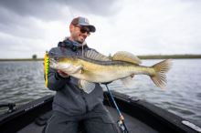 Berkley Gumová Nástraha Powerbait Cullminnow Firetiger (11)