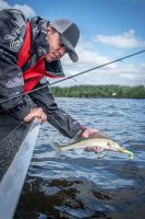 Fox Rage Montáž Drop Shot Micro Ready Rig 3 ks (10)