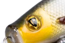 Fox Rage Gumová Nástraha Pro Shad Loaded Silver Halo (3)